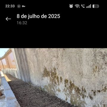 Unipessoal para todos - Maia - Jardinage