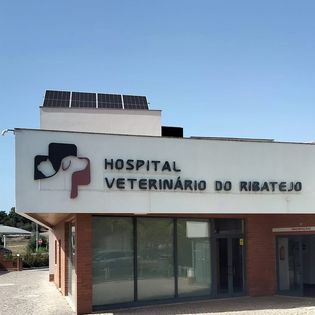 Reginaldo Destak Remodelação - Santarém - Construção de Parede Interior