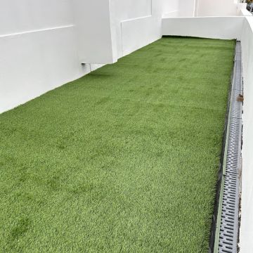 Renascimento Remodelações e Obras - Figueira da Foz - Shrub Removal