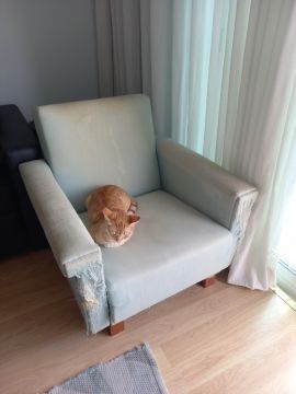 Upholstery Service
