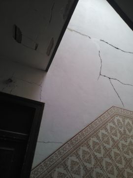Renato Rodrigues - Lisboa - Waste Removal