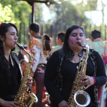 Cuidadora e professora de educação especial - Monchique - Limpeza a Fundo