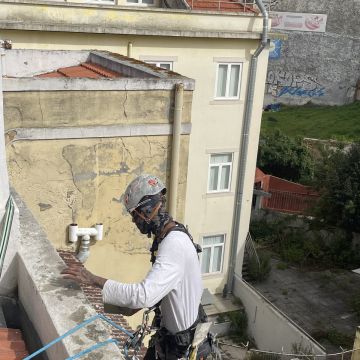 Guilherme Alves - Lisboa - Remoção de Arbustos
