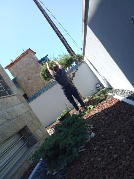 Unipessoal para todos - Maia - Jardinage et pelouses