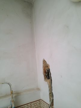 Renato Rodrigues - Lisboa - Masonry Construction Services
