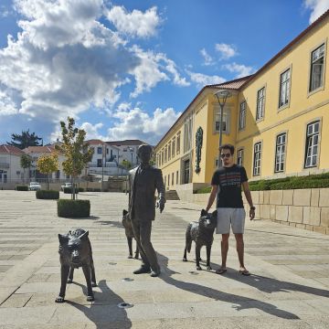 Simão Rebelo - Viseu - Reparación de teléfonos o tabletas