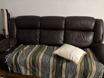 Upholstery Repair