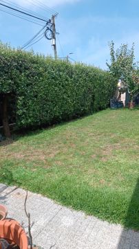 Miguel.M - Maia - Shrub Removal