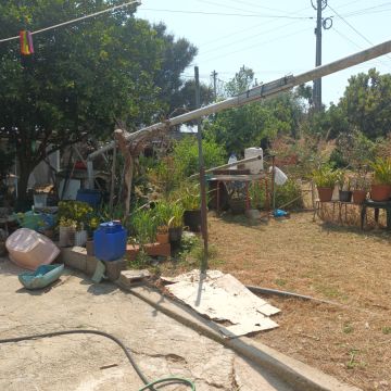 Vitor Baltarejo - Matosinhos - Enlèvement de souches d’arbres