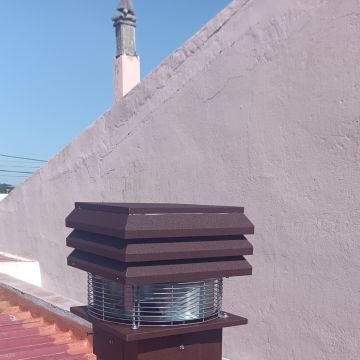 Detalhe & Reforma - Seixal - Poda y mantenimiento de árboles
