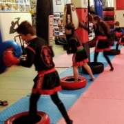 Hernani Silva - Oliveira de Frades - Karate Lessons