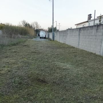 Jardins e espaços verdes - Gonçalo Martins - Coimbra - Remoção de Arbustos