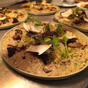 Miguel Mendes - Povoação - Serviço de Catering para Casamentos