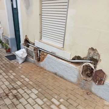 Pedro Carvalho - Sintra - Dog Fence Installation