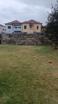 Miguel.M - Maia - Tree Stump Grinding and Removal