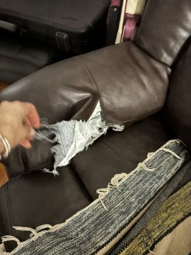Upholstery Specialist