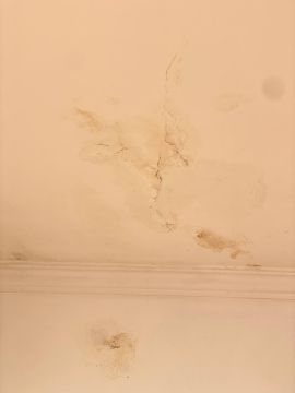 Pintor de Casas