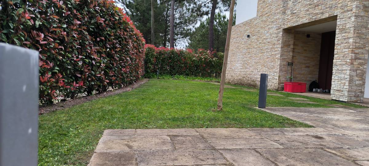 Vitor menezes Antônio - Sesimbra - Jardinagem e Relvados