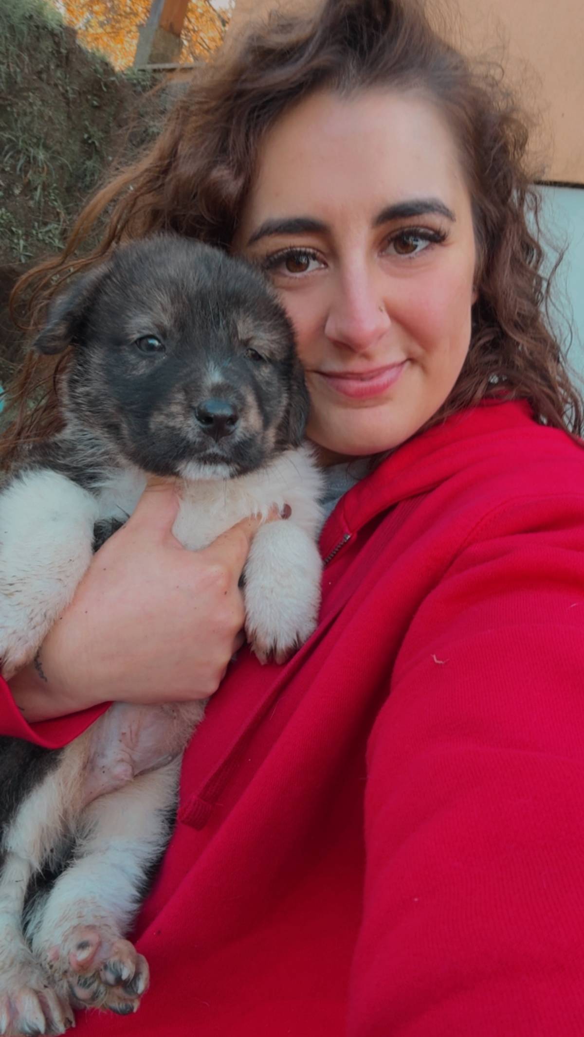 Petnurse_Care - Porto - Cuidados y paseos de mascotas