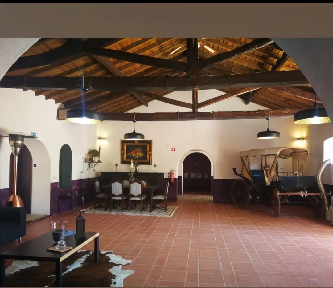 SEBENTA FIDALGA UNIPESSOAL LDA - Avis - Video Equipment Rental for Events