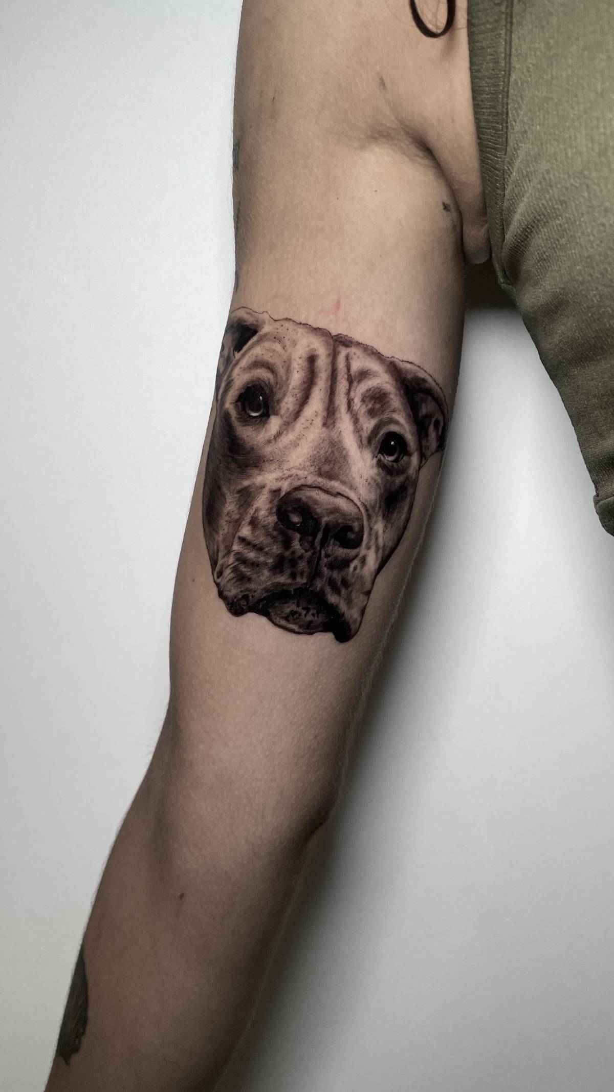 Velhinho Tattoo - Sintra - Tätowierer