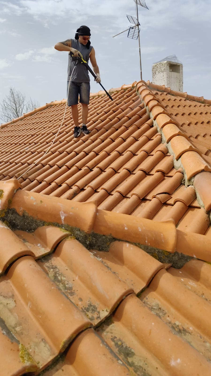 Pronto fix - Huelva - Poda y mantenimiento de árboles