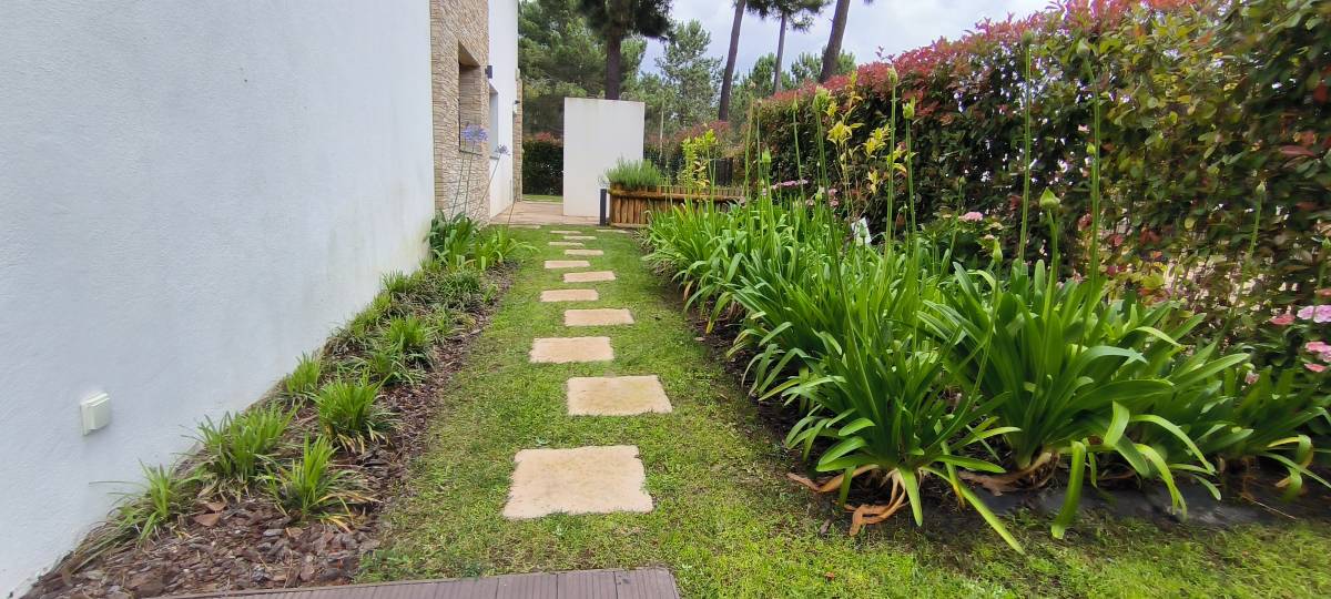 Vitor menezes Antônio - Sesimbra - Jardinagem