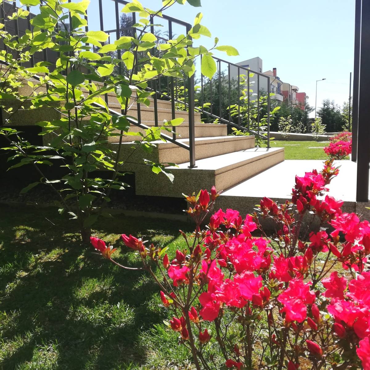 CooPlanta - Vila Nova de Gaia - Casa