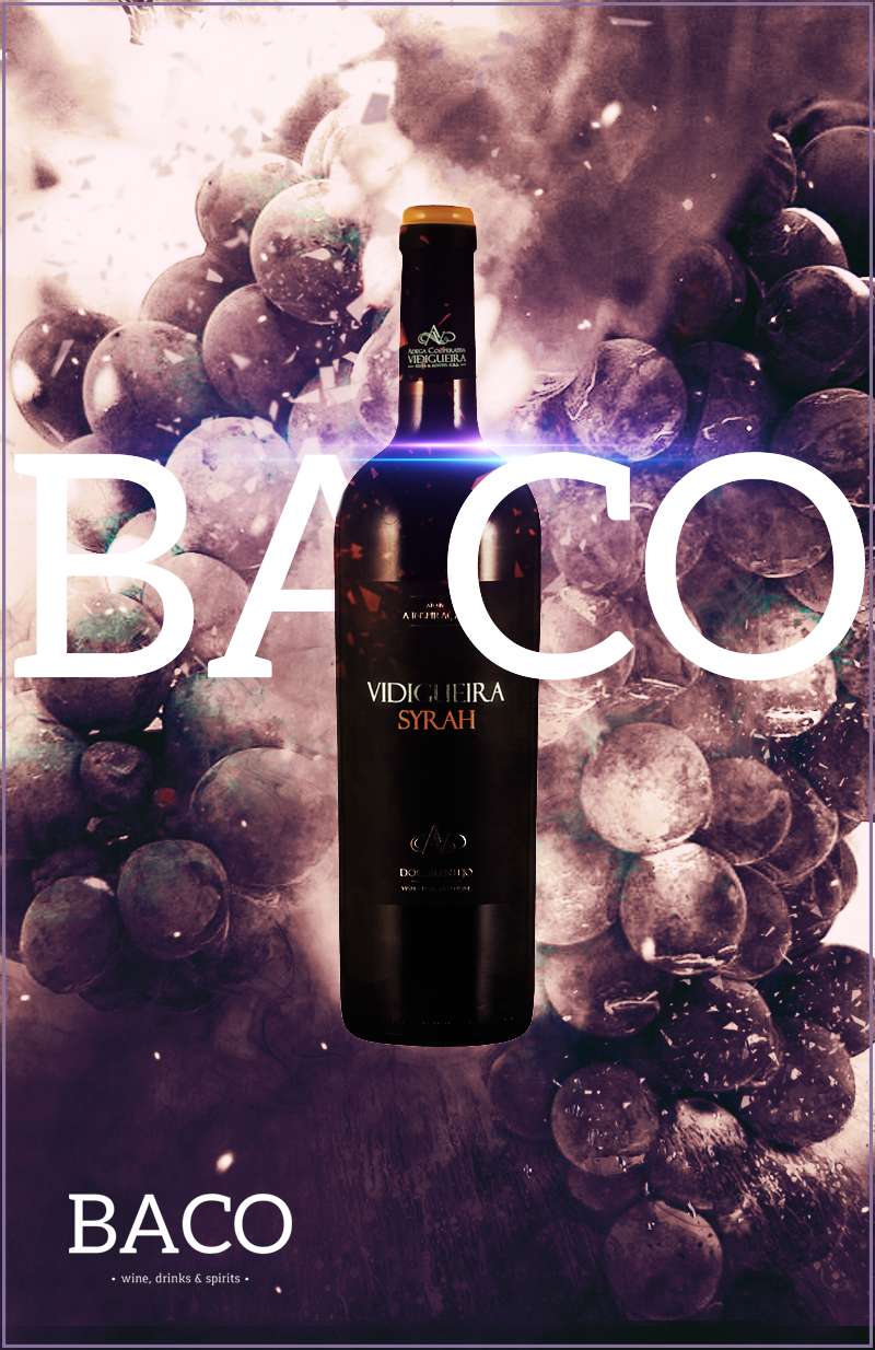 Exceptional Factor Lda - Beja - Publicidade