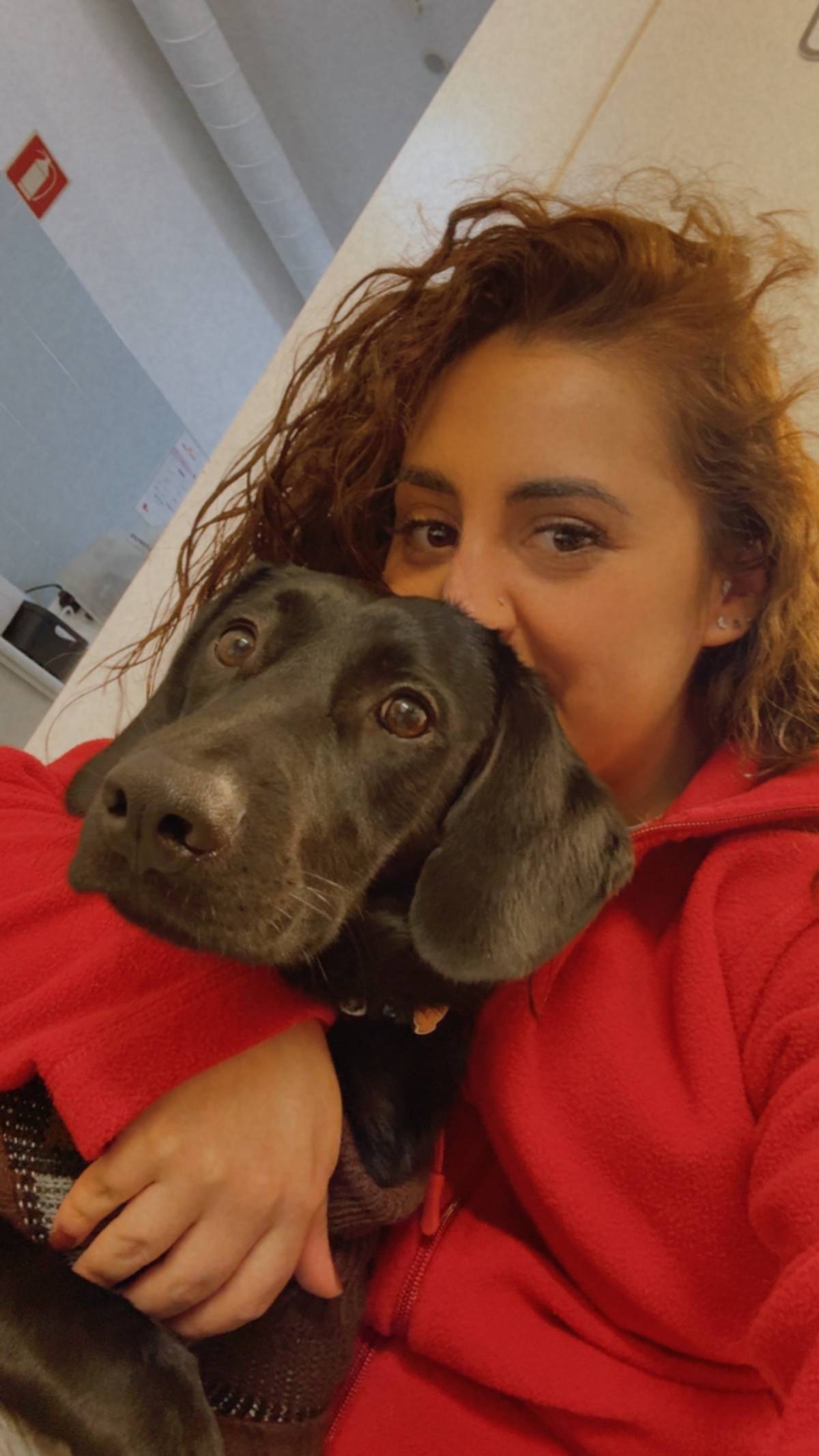 Petnurse_Care - Porto - Veterinario