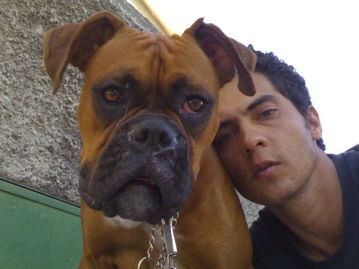 Jorge Lemos - Matosinhos - Paseador de perros