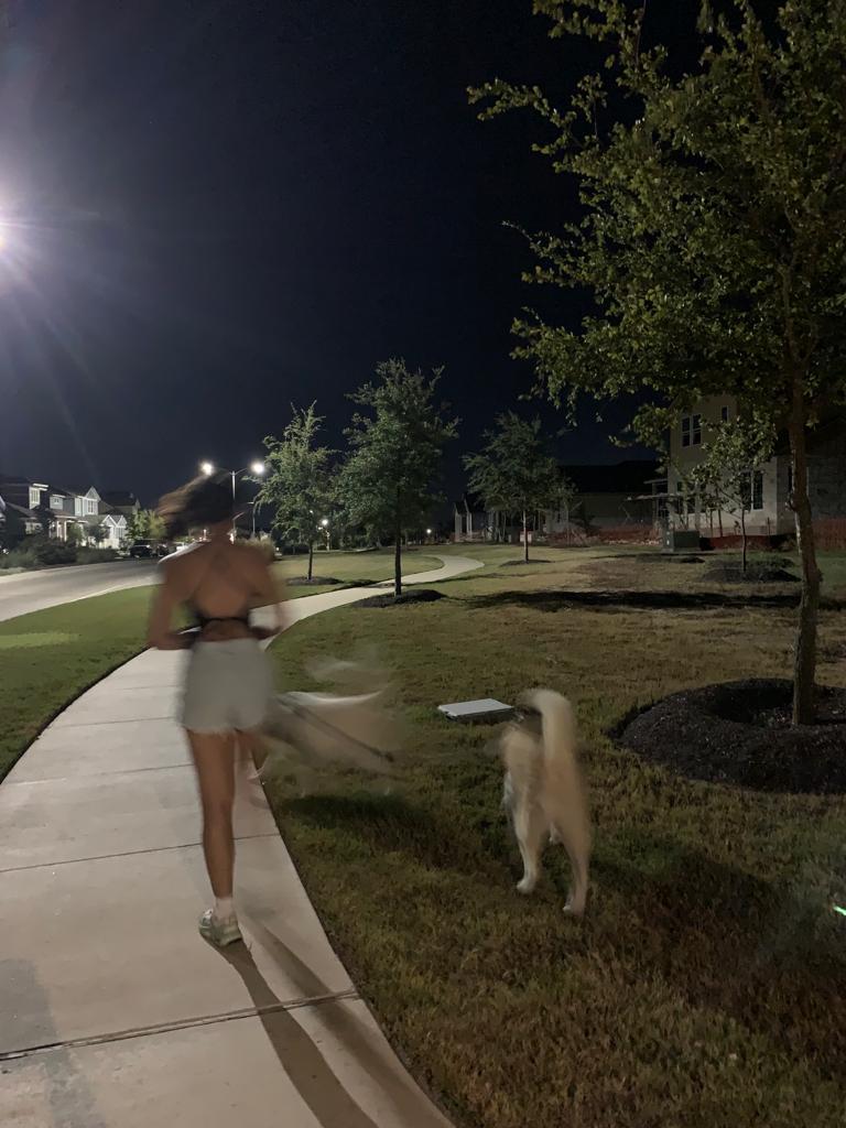 Dog walking with Amira - Odivelas - Promenade de chiens