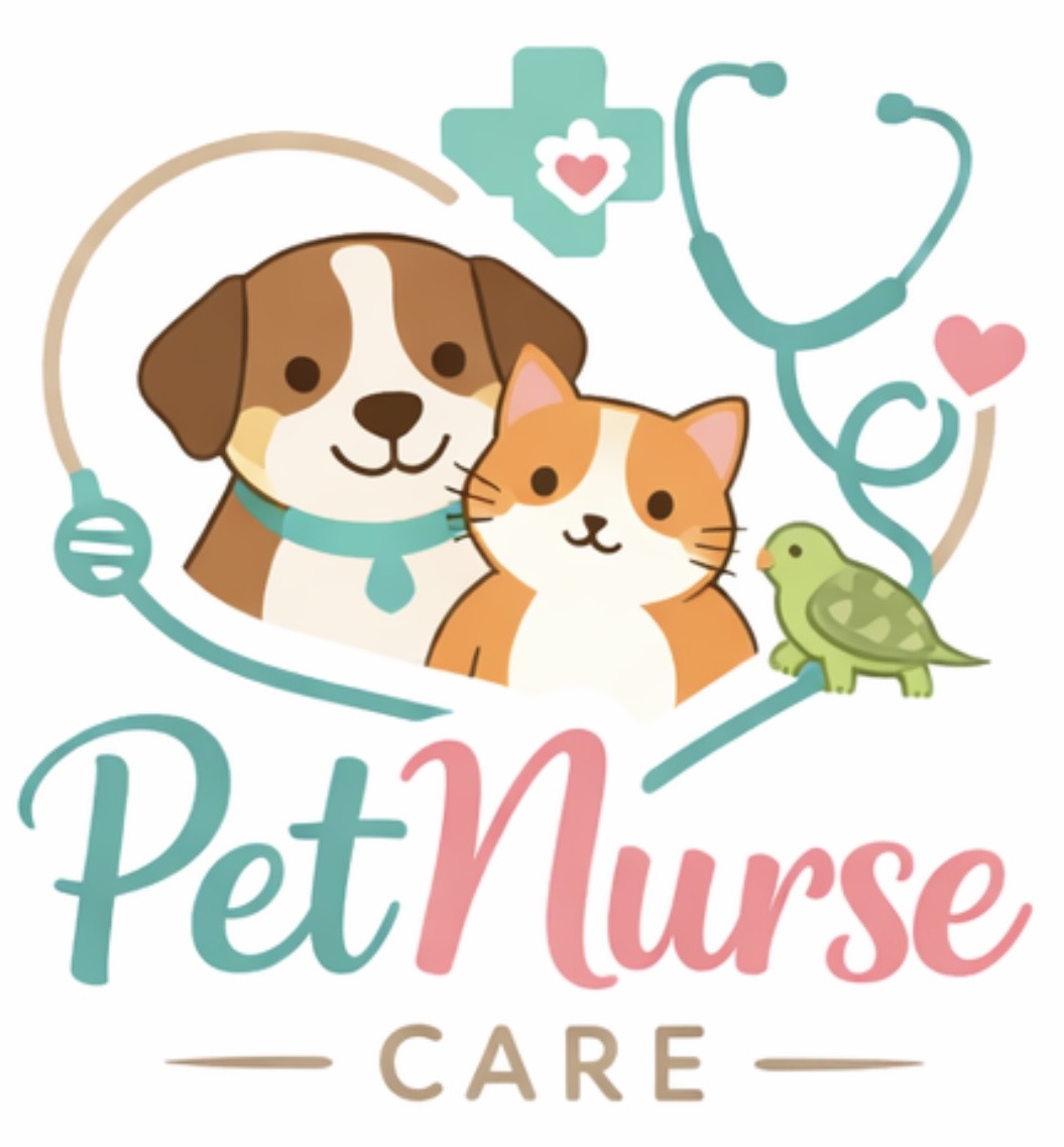 Petnurse_Care - Porto - Cuidar tus gatos