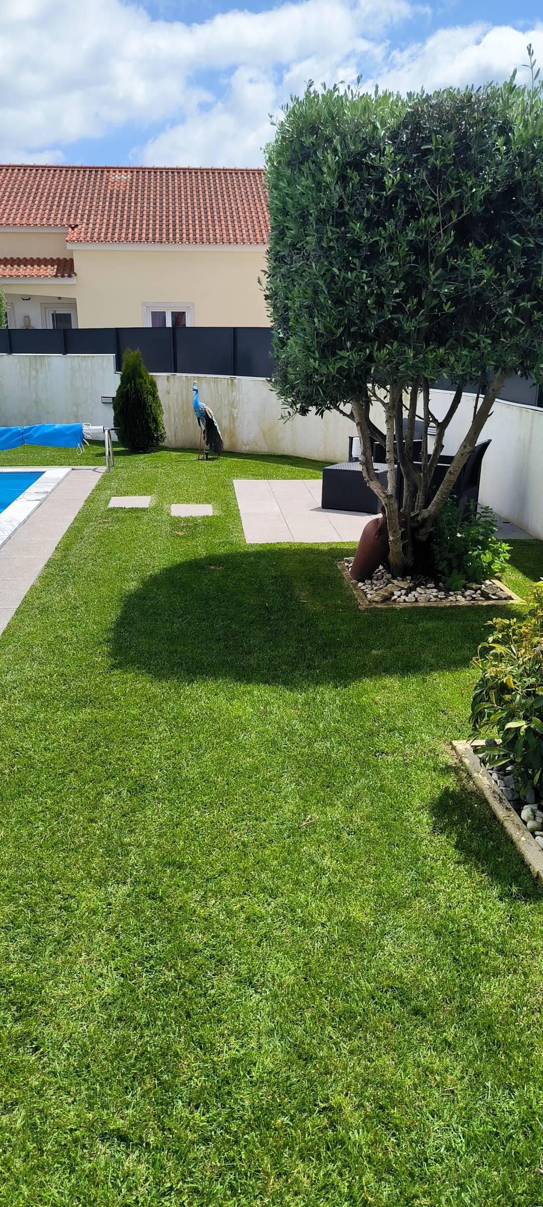 Vitor menezes Antônio - Sesimbra - Jardinagem