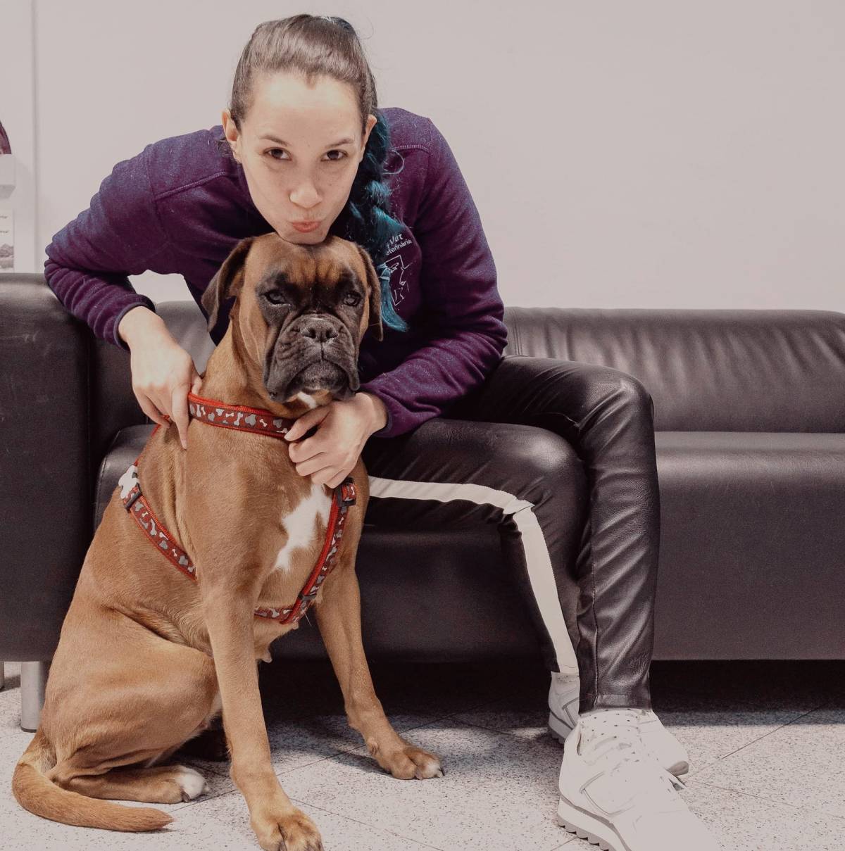 Palloma Cavalcante - Barreiro - Hundeausführung