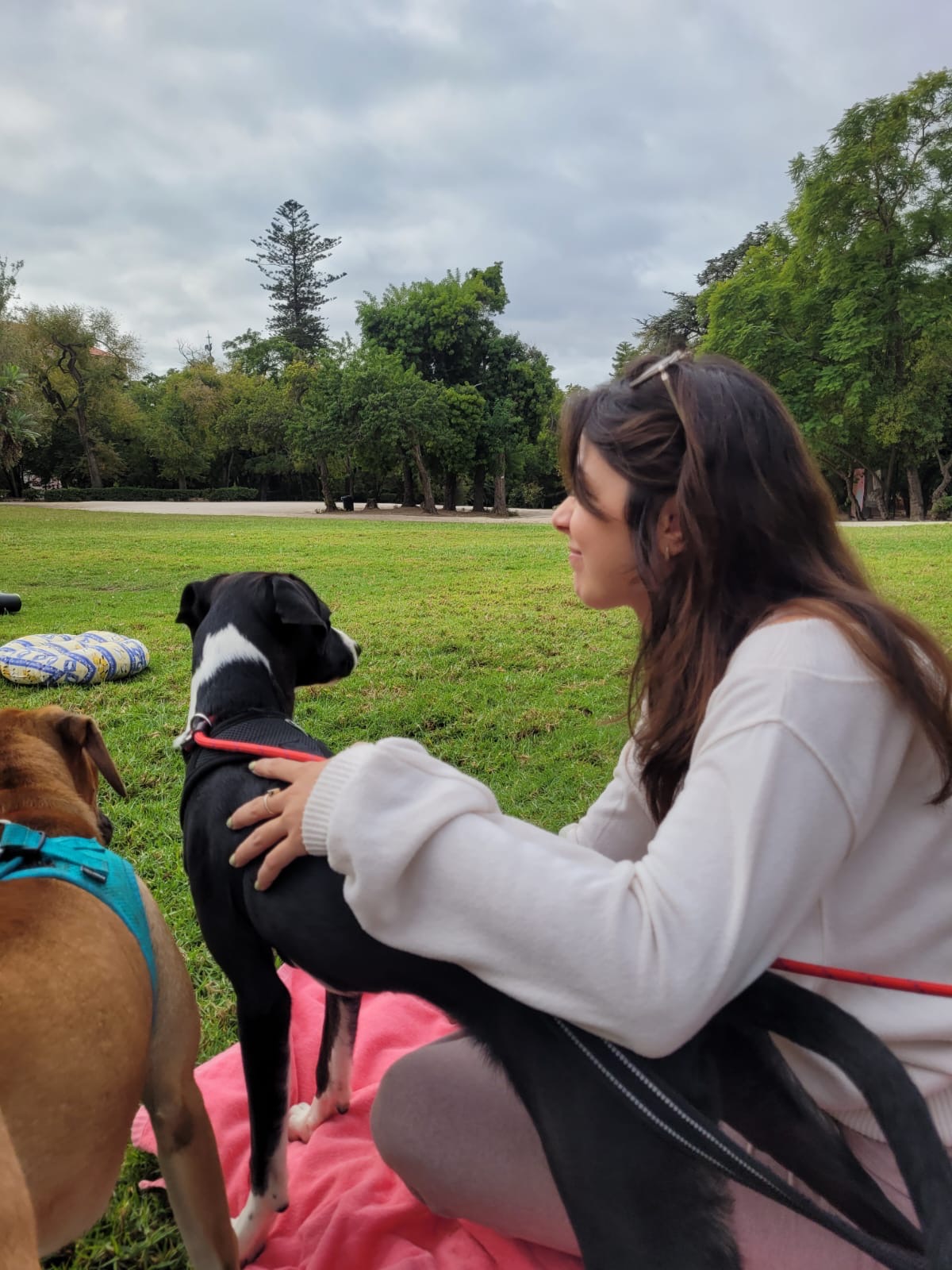 Dog walking with Amira - Odivelas - Garde et promenade d’animaux