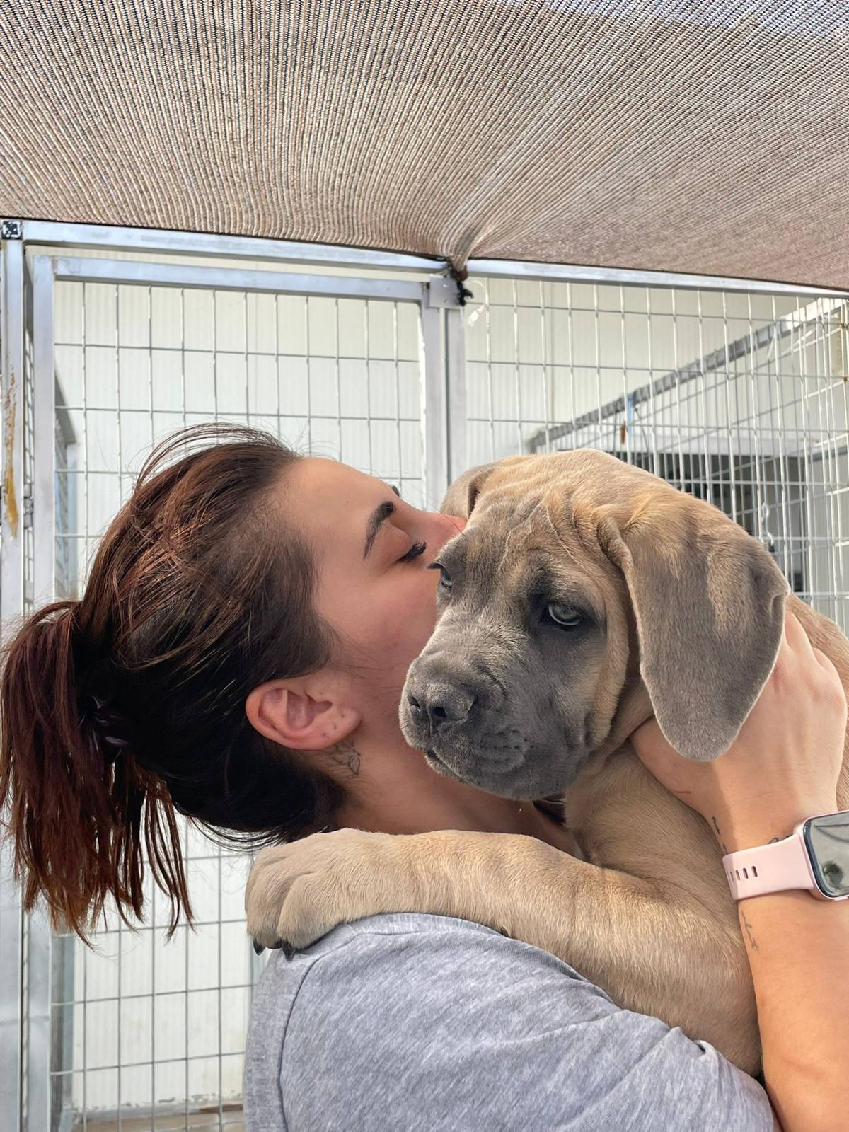 Petnurse_Care - Porto - Paseador de perros