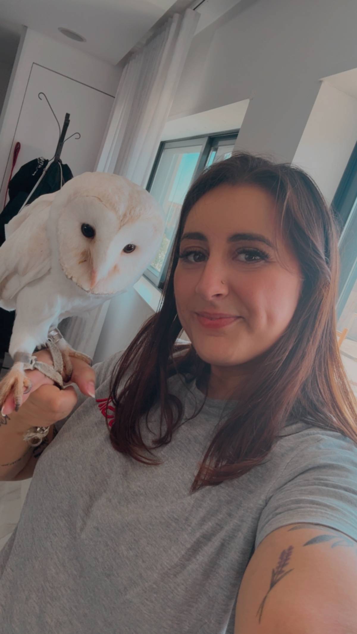 Petnurse_Care - Porto - Veterinario