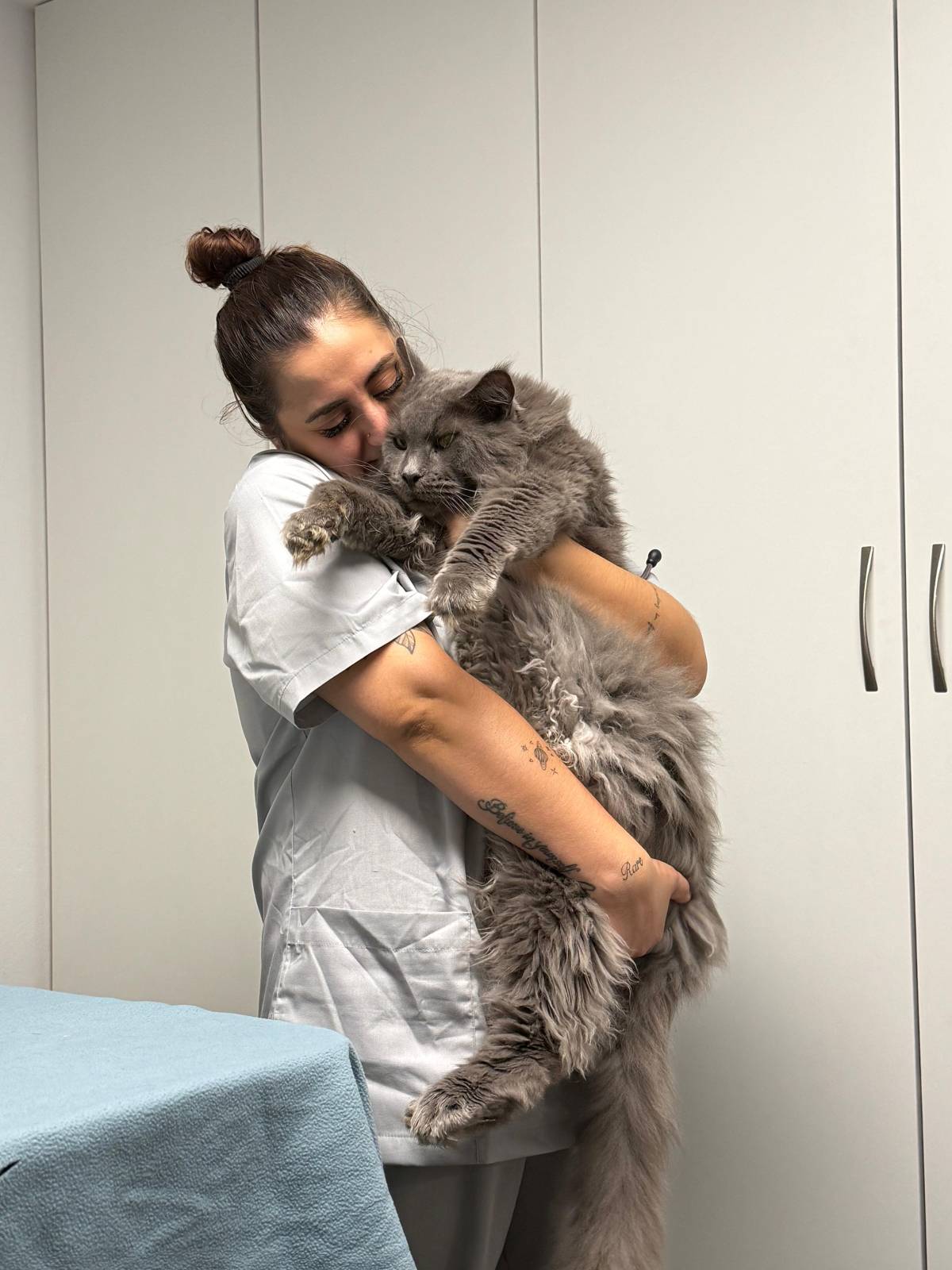 Petnurse_Care - Porto - Cuidar tus mascotas
