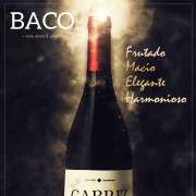 Exceptional Factor Lda - Beja - Design de Blogs