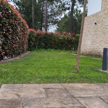 Vitor menezes Antônio - Sesimbra - Jardinagem e Relvados
