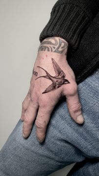Velhinho Tattoo - Sintra - Tätowierer