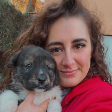Petnurse_Care - Porto - Cuidados y paseos de mascotas