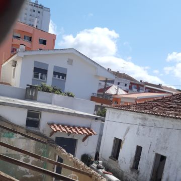 Vinicius lopes dos Santos - Sintra - Poda y mantenimiento de árboles
