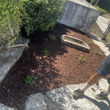 Norte Verde serviços - Caminha - Poda y mantenimiento de árboles