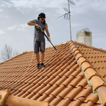 Pronto fix - Huelva - Poda y mantenimiento de árboles