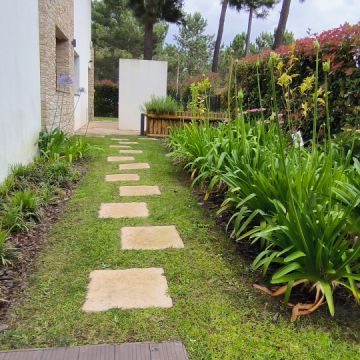Vitor menezes Antônio - Sesimbra - Jardinagem