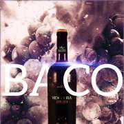 Exceptional Factor Lda - Beja - Publicidade