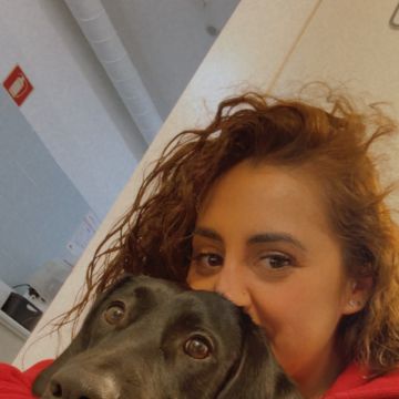 Petnurse_Care - Porto - Veterinario