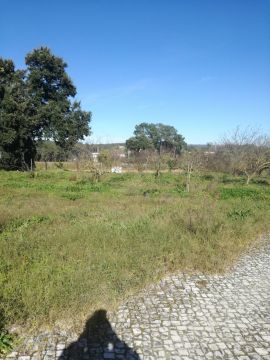Especialista de Limpeza de Terrenos